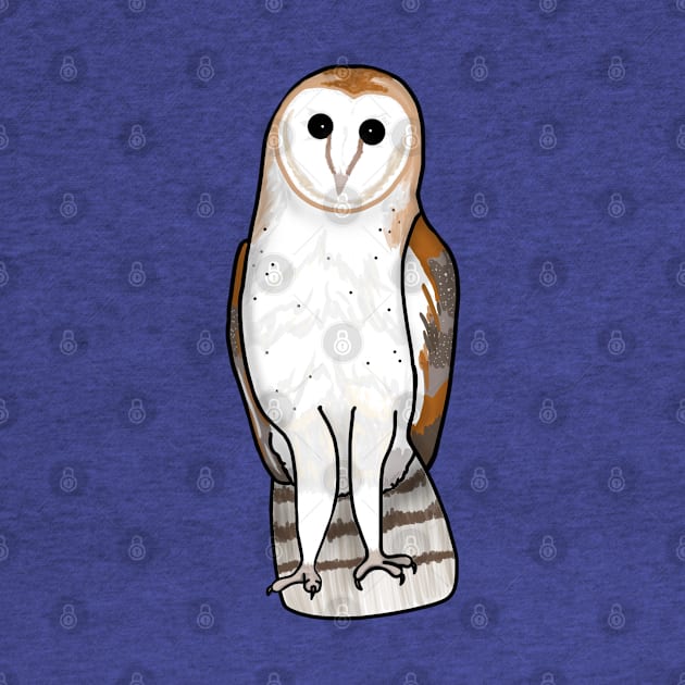 Beautiful Barn Owl (Small Print) by Aeriskate